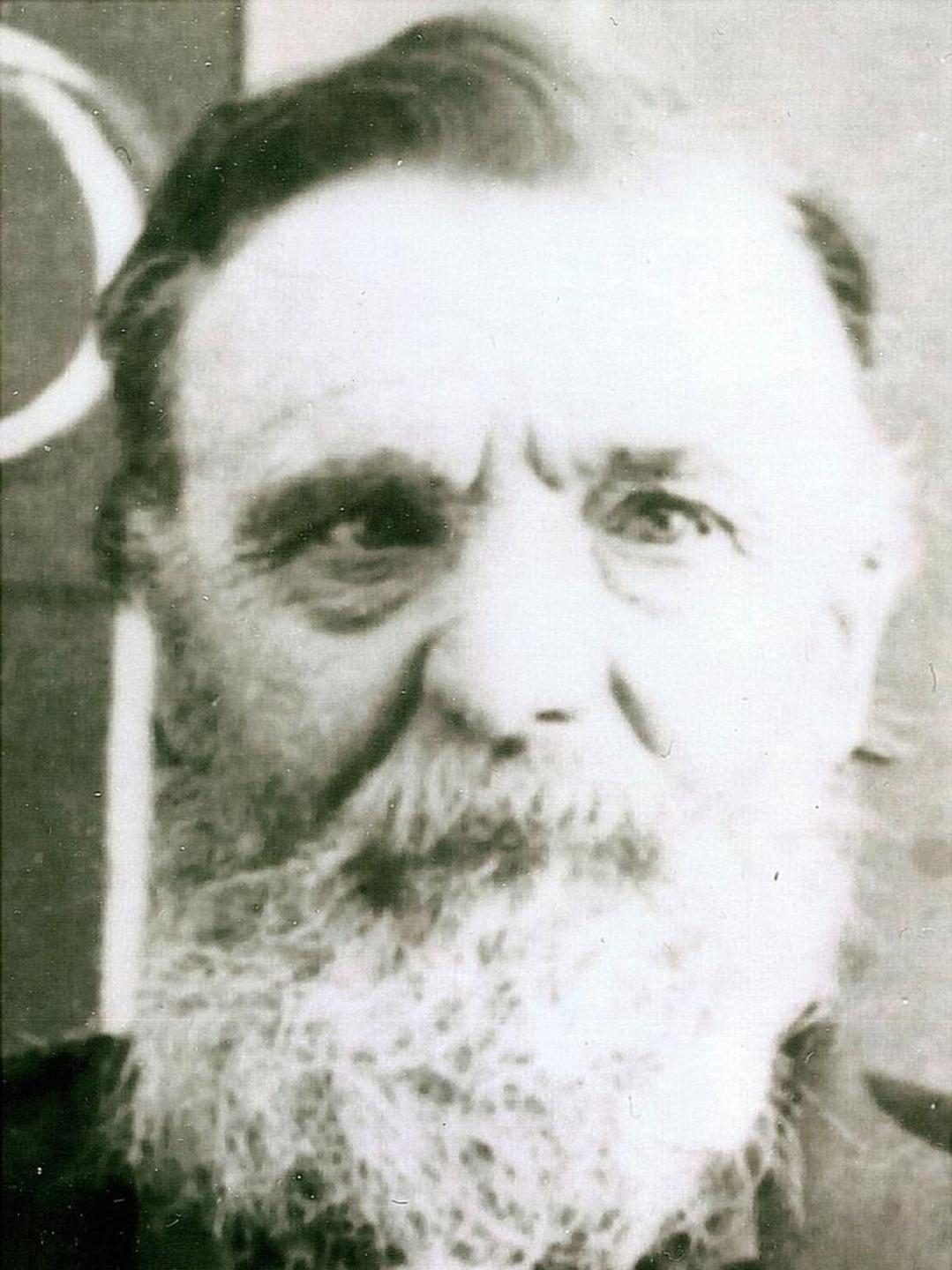 Thomas Davies (1833 - 1903) Profile